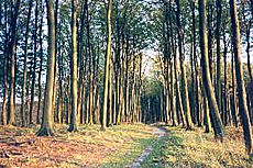 Wanderweg im Nationalpark