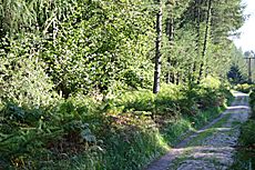 Wanderweg im Nationalpark
