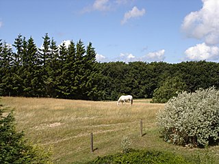 Aussicht aus der oberen Etage