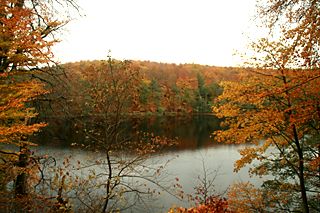 Der Herthasee im Spätherbst, vom Rande der Herthaburg aus gesehen