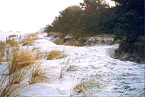 Dünen am Strand der Schaabe