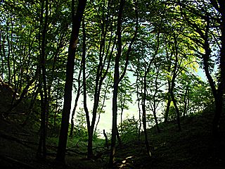 Die Stubnitz