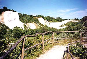 Kreidebruch im Kreidemuseum von Neddesitz