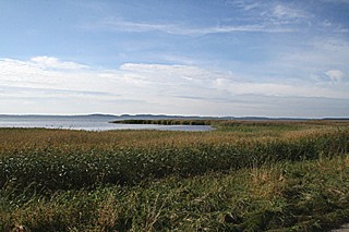 Der Groe Jasmunder Bodden