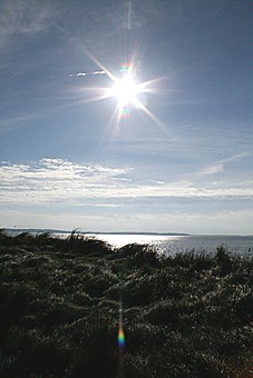 Der Große Jasmunder Bodden