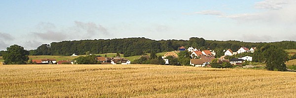 Hagen