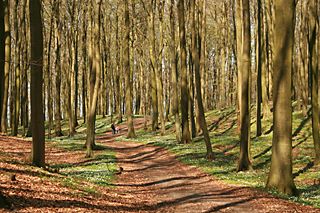 Wanderweg im Nationalpark