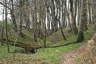 Wanderweg im Nationalpark