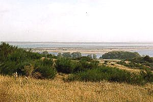 Boddenlandschaft zwischen Hddensee und Nordwest-Rügen