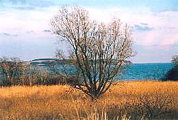 Küstenlandschaft auf Mönchgut
