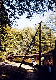 Der Rasende Roland zwischen Putbus und Göhren