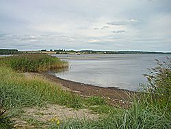 Die Insel Vilm