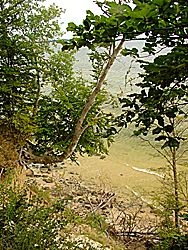 Die Insel Vilm