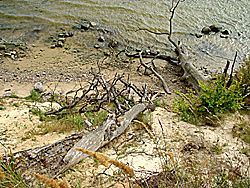 Die Insel Vilm
