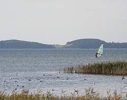 Das Windsurfen im Jasmunder Bodden